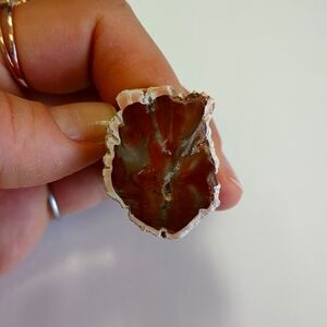 Polished Petrified Wood Adjustable Cocktail Ring